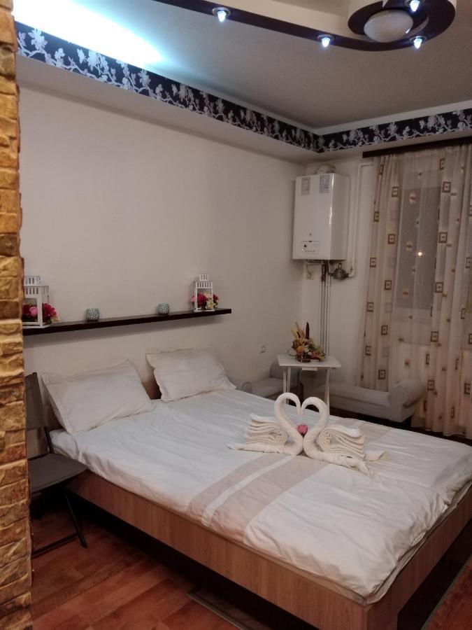 Alexandra 's Studio Apartment Brașov Exterior foto