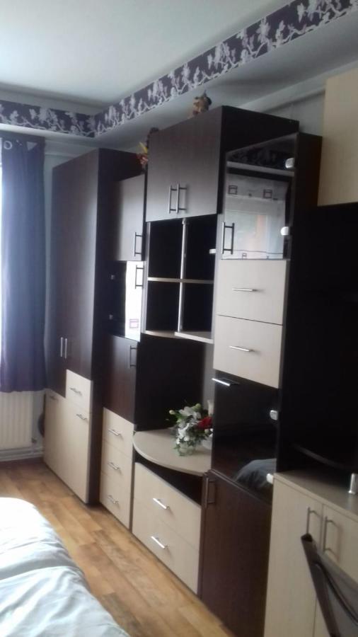 Alexandra 's Studio Apartment Brașov Exterior foto